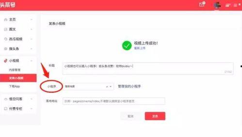 怎么开通头条小程序,头条小程序开通全攻略
