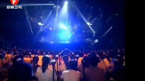 张琪的明星资料档案