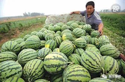 吃瓜上哪里找,带你领略网络热点的魅力