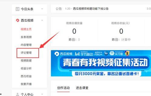 头条评论区怎么管理,打造和谐互动空间