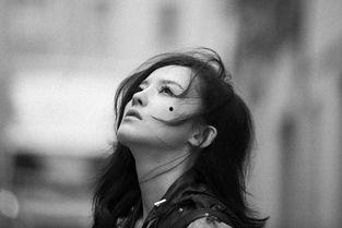 仰望明星,追寻璀璨星辰的启示录