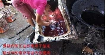 辣条生产爆料视频,揭秘辣条制作全过程