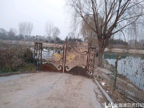 垂钓园网红,揭秘垂钓界的明星风采