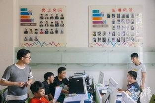 网红来厂里,创新与融合的产业变革之旅