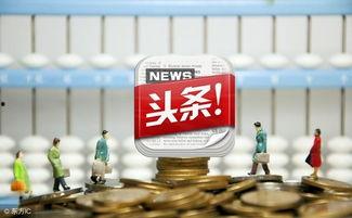 今日头条拍摄的作品,镜头下的精彩瞬间，带你领略视觉盛宴