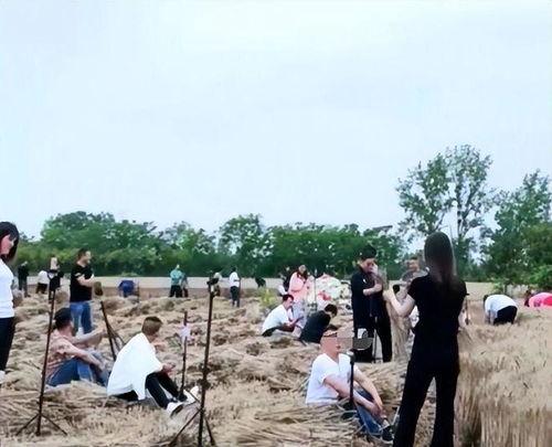 永年干活网红,田间地头崛起的“新农人”传奇