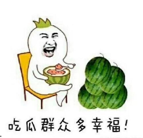 瓜地吃瓜的下一句,乐在其中