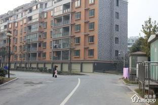 襄阳花园北路新闻头条,多车连环相撞，交通受阻紧急处理